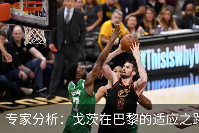 专家分析：戈茨在巴黎的适应之路仍需时间
